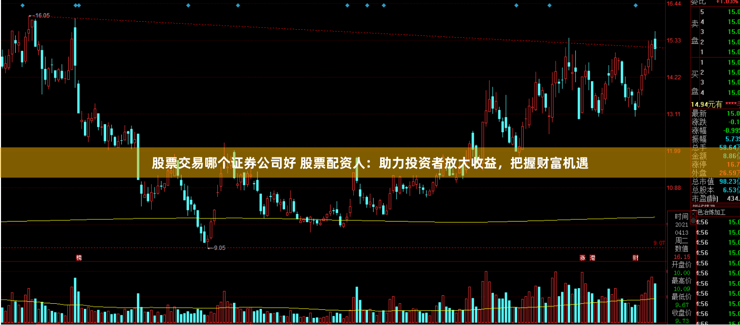 股票交易哪个证券公司好 股票配资人：助力投资者放大收益，把握财富机遇
